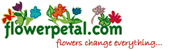 flower shop in seattle, flowers for delivery in seattle, seattle online flower delivery
